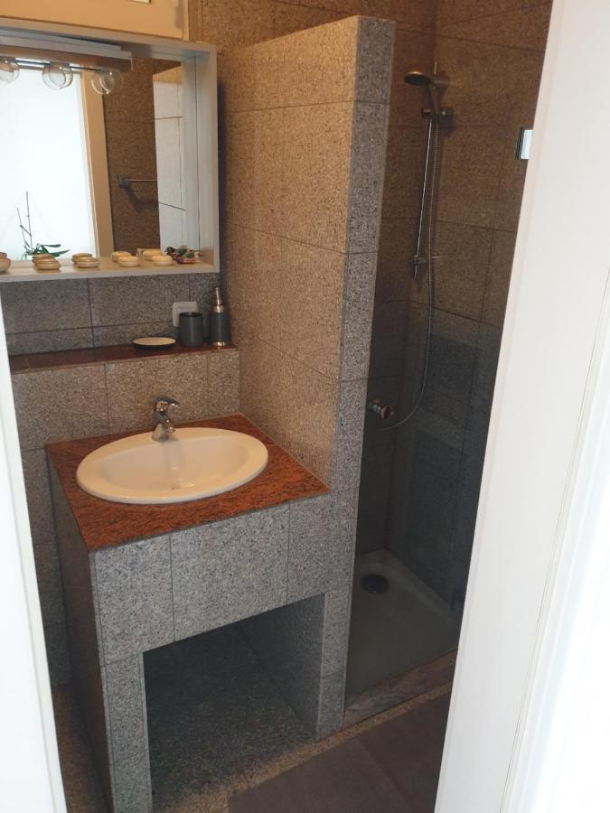 Messe Apartment Клагенфурт Екстериор снимка